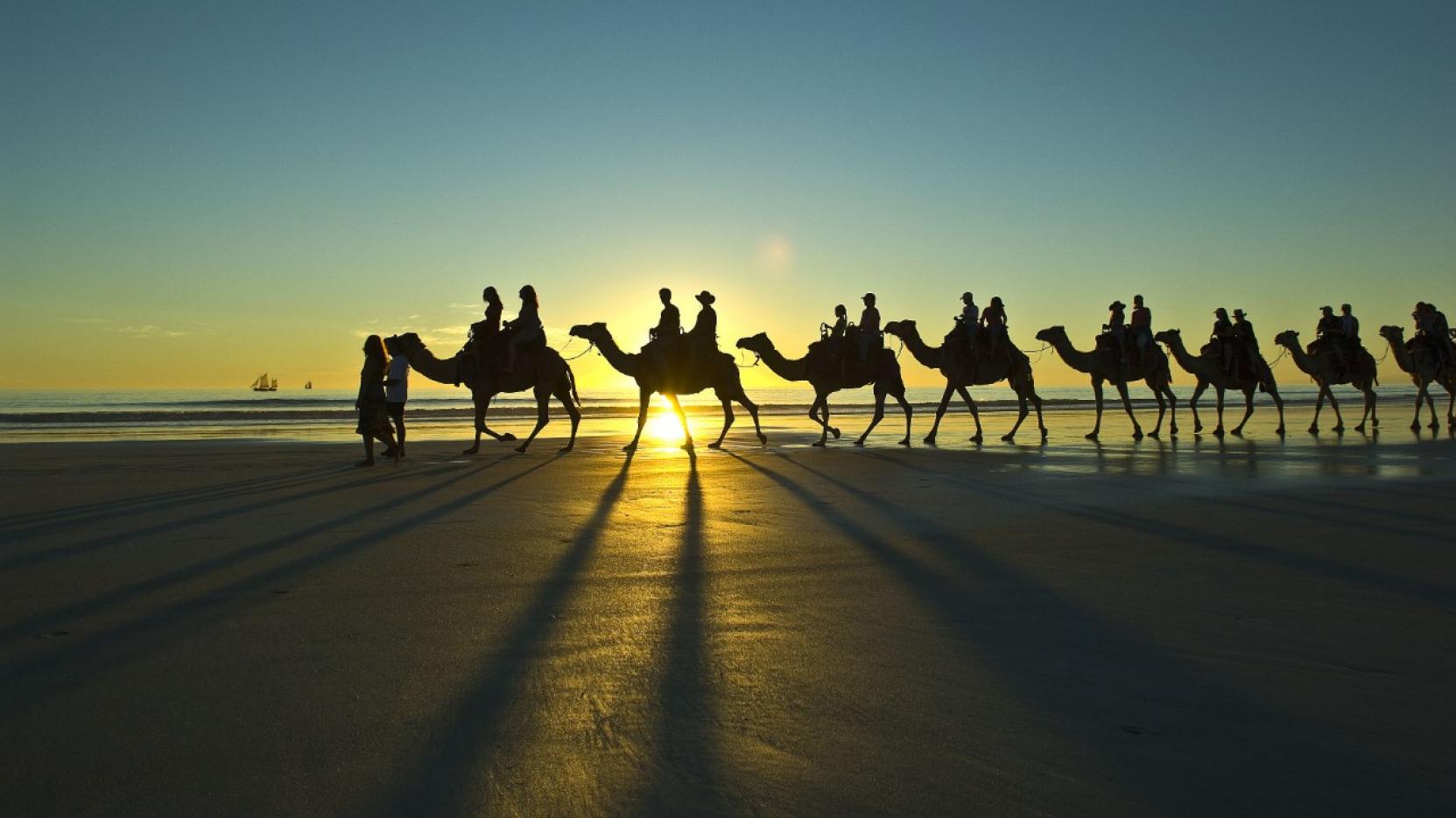 caravan